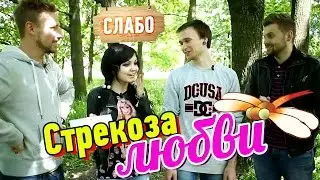 Слабо - Стрекоза любви