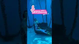 подписывайтесь на тгк: записки блогера🧜🏼‍♀️ там больше о работе русалкой рассказываю