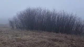 25.12.2022 Село Дегтярное. Туман.