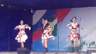 fly skirt 22