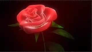 To see Roses in Dream Meanings | Khwab Mein Gulab Dekhna | خواب میں گلاب دیکھنے کی تعبیر