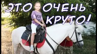 Почему я боялась?! / ЭТО ОЧЕНЬ КРУТО! / Видео про лошадей для детей
