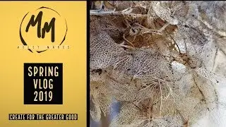 Spring Vlog 2019