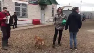Шиес. Это наше болото!