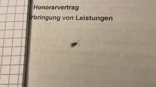 Franz Kafka oder Die Erbringung von Leistungen
