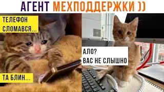 Агент МЕХподдержки ))) Приколы с котами | Мемозг 1253