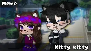 🌱[°meme°]🦋~💕[°kitty, kitty°]😺