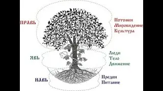 Родовая система человека на земле и во Вселенной.