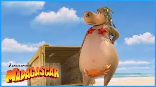 Everyone Loves Gloria | Best of Gloria  | DreamWorks Madagascar