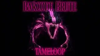 Tameloop  - Barcode Brute #2