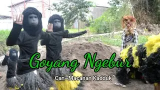 Topeng Monyet juga bisah Goyang Nyebor....Ngebor 🔴❓