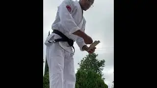 Karate (Seiken Tsuki)
