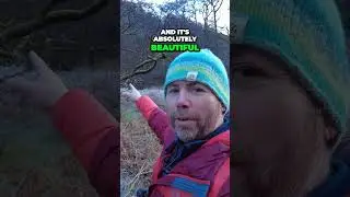 Photographing Woodland in the Lake District 