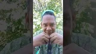 folhas de Oxumarê
