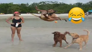 Best Funny Videos 🤣 - People Being Idiots | 😂 Try Not To Laugh