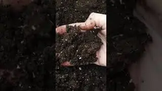 Soil Extinction | 