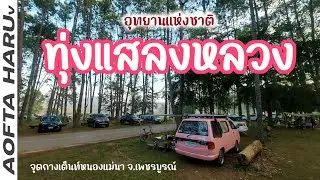 อช.ทุ่งแสลงหลวง จ.เพชรบูรณ์ จอดนอนหนาวๆ 14 องศา วิวป่าสน ทุ่งหญ้าสะวันนาแห่งเมืองไทย