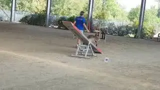 2019.09.15 -  Agility Vauda