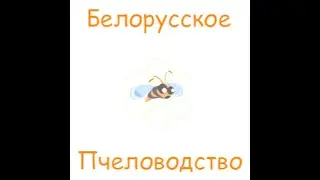 Пчеловодство братья Сергей и Андрей Давыденко ответы на вопросы. Канал Белорусское Пчеловодство