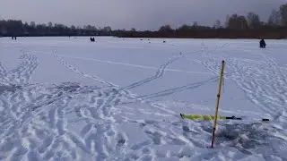 DANGEROUS Winter fishing in all its glory. Roach, perch, pike! 2022