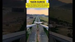 Yasin Suresi Onların Hepsi Mutlaka Toplanıp Hesap İçin Huzurumuza Çıkarılacaklardır.