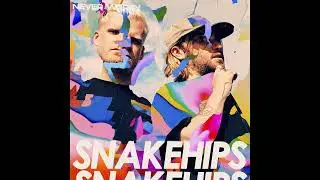 Snakehips, Daya, EARTHGANG - Sometimes... (Studio Acapella)