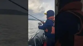 Последний вечер перед запретом
