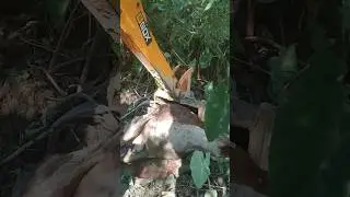 Aatma rama🙏🔥🙏 