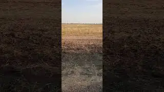 2 сентября 2024 г.