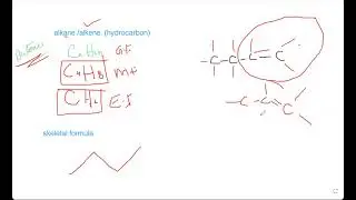IUPAC - Nomenclature of ORGANIC Carbon & its compound - Functional groups | Part 1