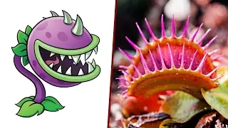 Plants vs. Zombies In Real Life New