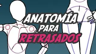 ANATOMÍA para RETRASADOS