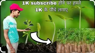 Plat 1000 Trees 🌳 To save earth 🌎 //2023// AMAN EXPERIMENT