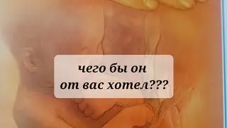 WHAT WOULD HE WANT FROM YOU???💯💯💯