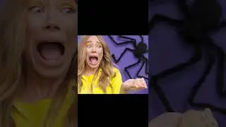 Боюсь мышей