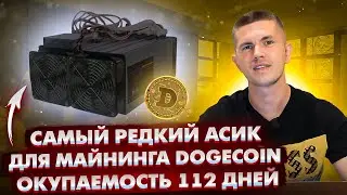 Самый редкий асик для майнинга Dogecoin | Окупаемость 112 дней