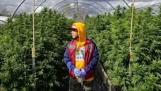Trap House - Stay Winning C-Roc x Thai VG x Gookstaz (Official Vietnamese Rap Video)