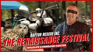 The Animals of The Renaissance Festival - ULTIMATE PETTING ZOO | Wildlife Command Center
