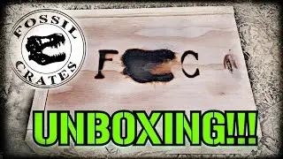 Fossil Crates Unboxing! Pure Beauty in a crate!!!