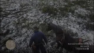 Red Dead Redemption 2 pt7