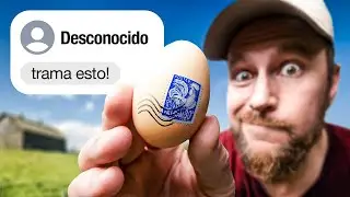 El Espectador Nos Envía Huevos Para Incubar Extremadamente Raros