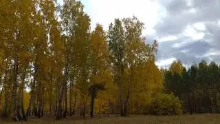 Осенний парк.