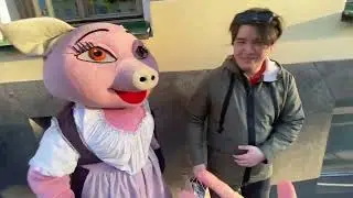 муха потрогал грудь...❀