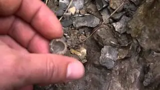 Яузларское ущелье 15 ежи