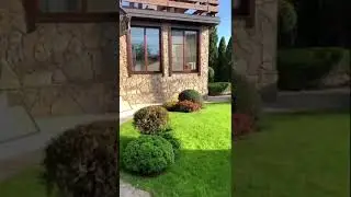 Красивые и аккуратные клумбы на участке #shorts