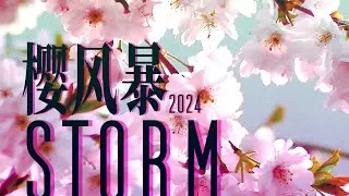 合 作 S T O R M