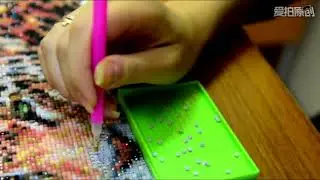Алмазная вышивка квадратными стразами