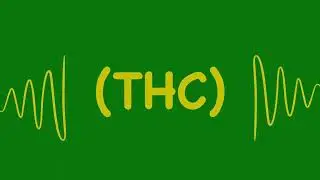 Talking High Culture Podcast Ep. 2 (audio only)