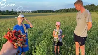 VLOG: Муж пришел домой ночью/ Привезли плитку / Влог глазами Элизы / Собираем ягоды / Друг