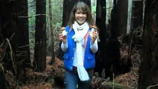 Mushroom Picking with Mom November 2012 Mendocino Coast